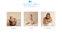 Desktop Screenshot of amandasaldarelliphotography.com
